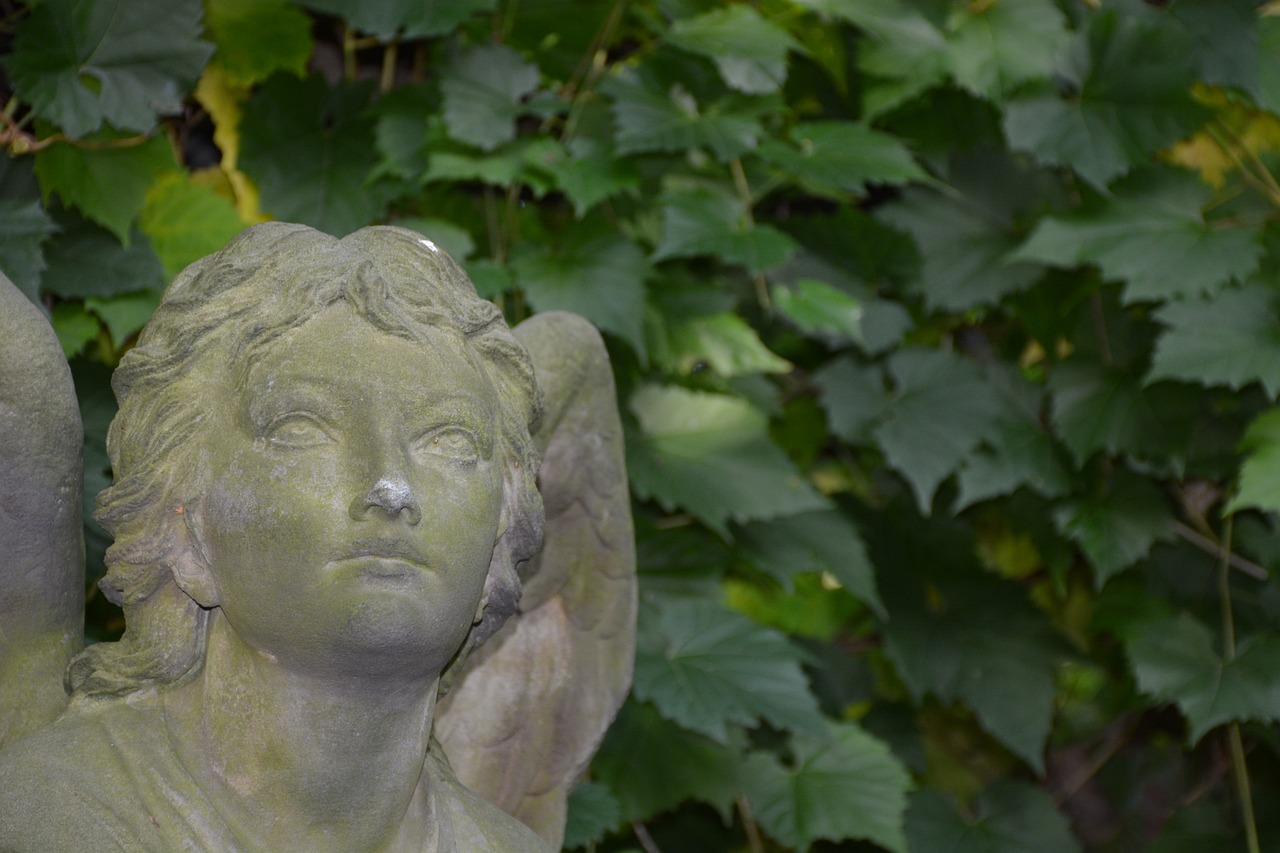 a close up of a statue of an angel, a statue, inspired by Jane Nasmyth, amongst foliage, portrait 4 / 3, concert, antique