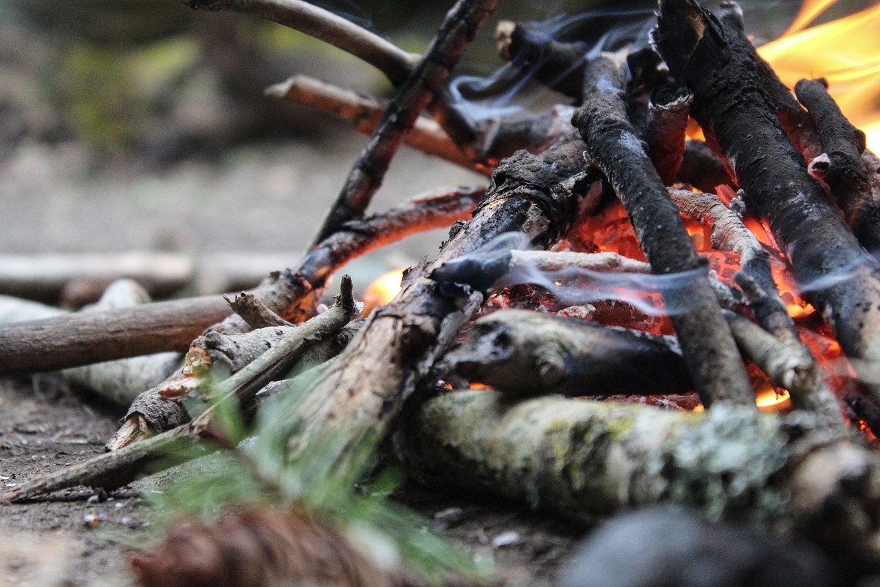 a pile of sticks sitting on top of a fire, a picture, by Jaakko Mattila, unsplash, video still, morning detail, energy flows of water and fire, ready to eat