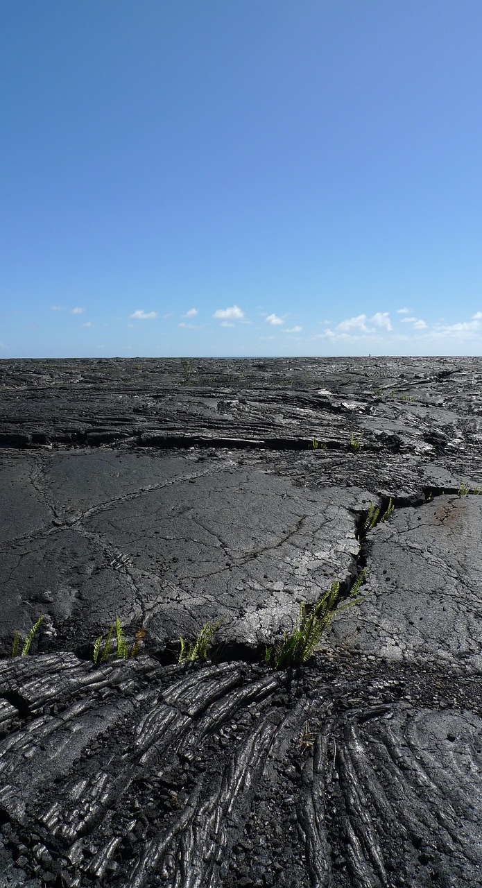 a lone red fire hydrant sitting in the middle of a barren field, by Adam Manyoki, flickr, hurufiyya, flowing lava and ash piles, reunion island, panels, rotting black clay skin