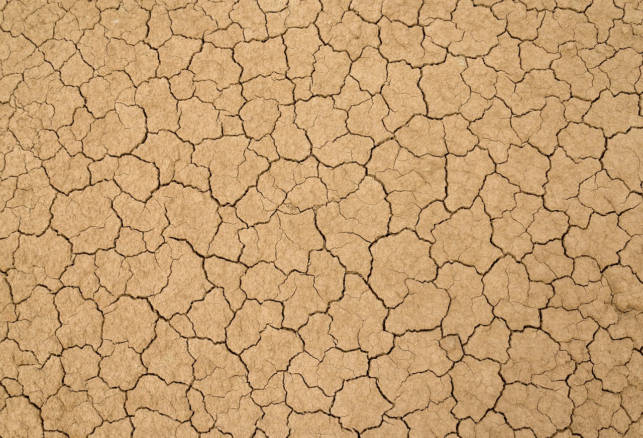 a wall that has some dirt on it, a photo, shutterstock, land art, cracked dry lake bed, light brown background, lumpy skin, ffffound