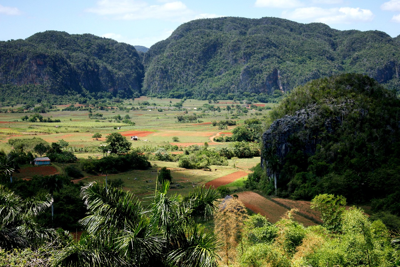 a view of a valley with mountains in the background, cuban setting, patches of green fields, palm, cliffs