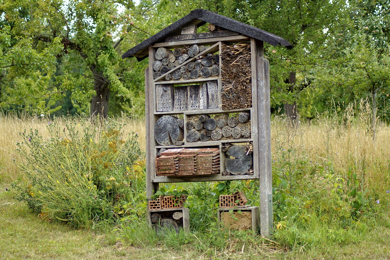 a bee house in the middle of a field, by Juergen von Huendeberg, assemblage, well preserved, complexly detailed, ecovillage, rack
