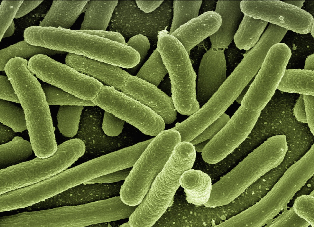 a close up of a group of green bacteria, a microscopic photo, by Robert Brackman, shutterstock, detailed scan”, borders, atmospheric ”, green letters