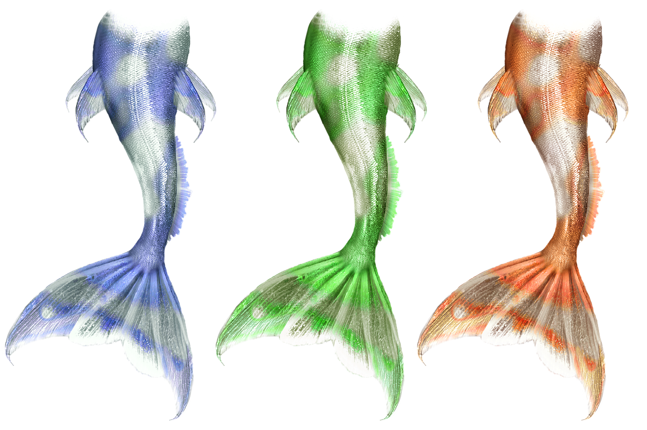 three different colored mermaid tails on a black background, a raytraced image, by Jon Coffelt, trending on zbrush central, koi colors, back shark fin, silver dechroic details, blue-green fish skin