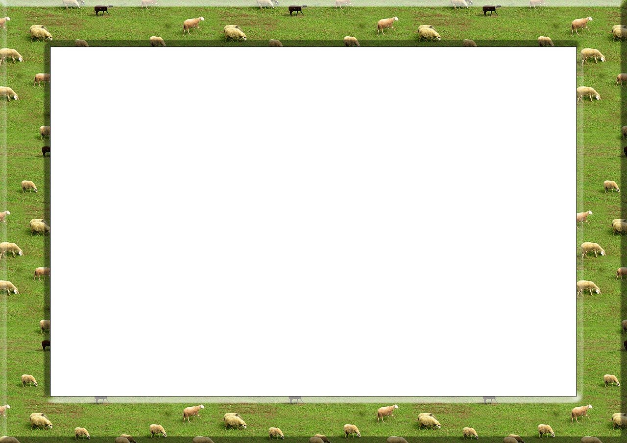 a herd of sheep grazing on a lush green field, a screenshot, minimalism, paper border, template, 3 meters, bible