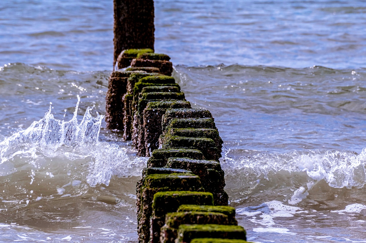 a close up of some rocks in the water, a picture, by Richard Carline, romanticism, concrete pillars, zig zag, green sea, taken with sony alpha 9