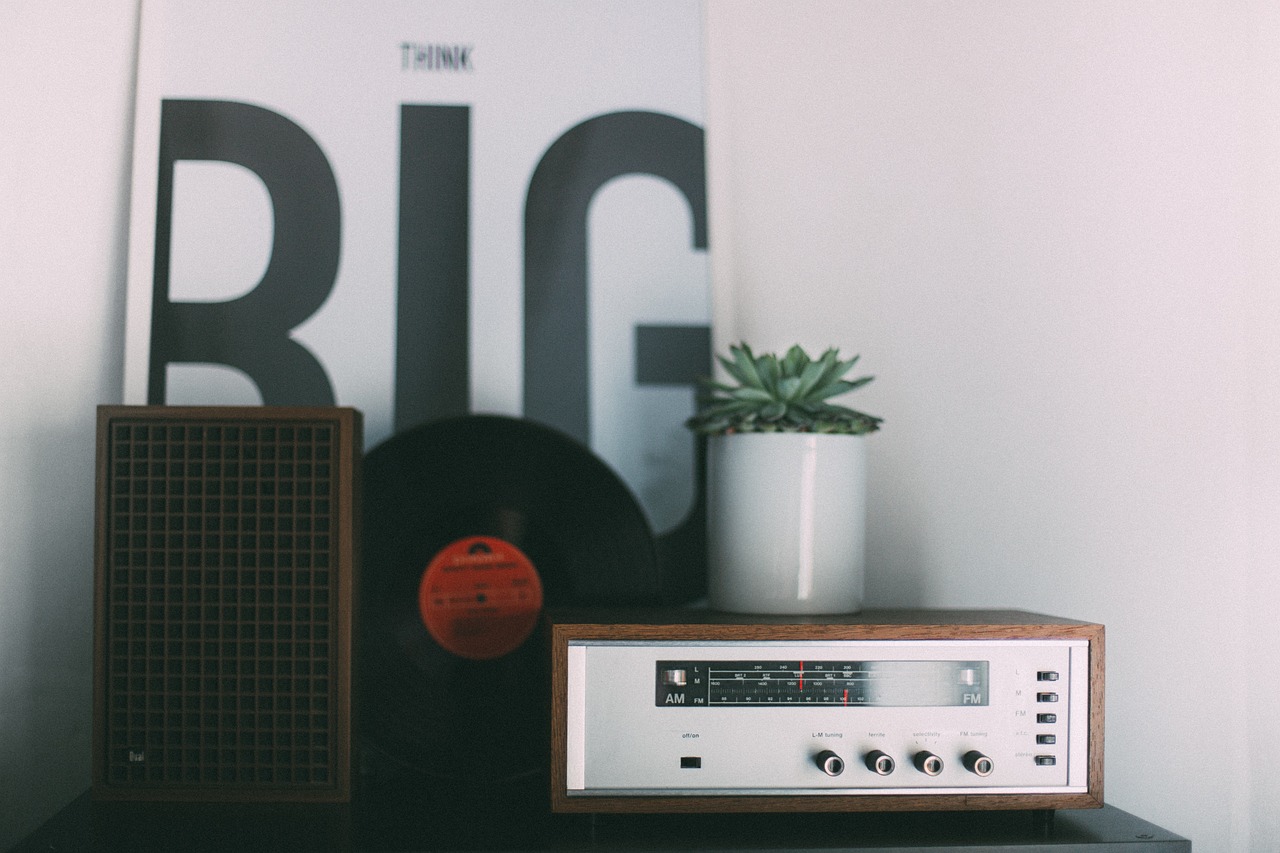 a radio sitting on top of a table next to a plant, a picture, by Romain brook, trending on unsplash, postminimalism, massive 7 0 s hi fi system, giant speakers, photo taken in 2018, vintage soft grainy