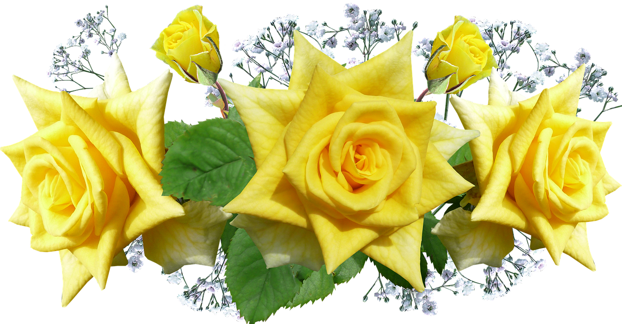 a bouquet of yellow roses with baby's breath, a digital rendering, by Alvan Fisher, pixabay, symmetry!! yellow ranger, banner, 🐿🍸🍋, beauttiful stars