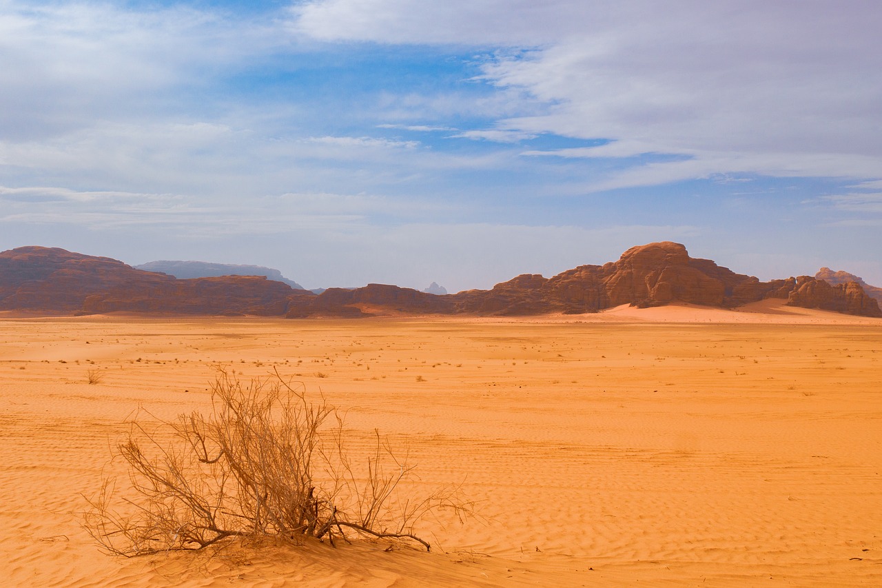 a lone tree in the middle of a desert, by Ibram Lassaw, flickr, wadi rum, arid mountains and palm forest, pastel, wikimedia commons