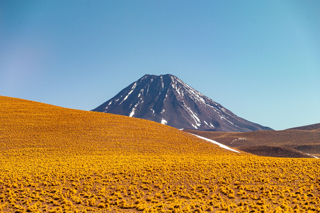 a field of sunflowers with a mountain in the background, a photo, by Juan O'Gorman, color field, on the surface of mars, salt dunes, sunny day with clear sky, volcano landscape