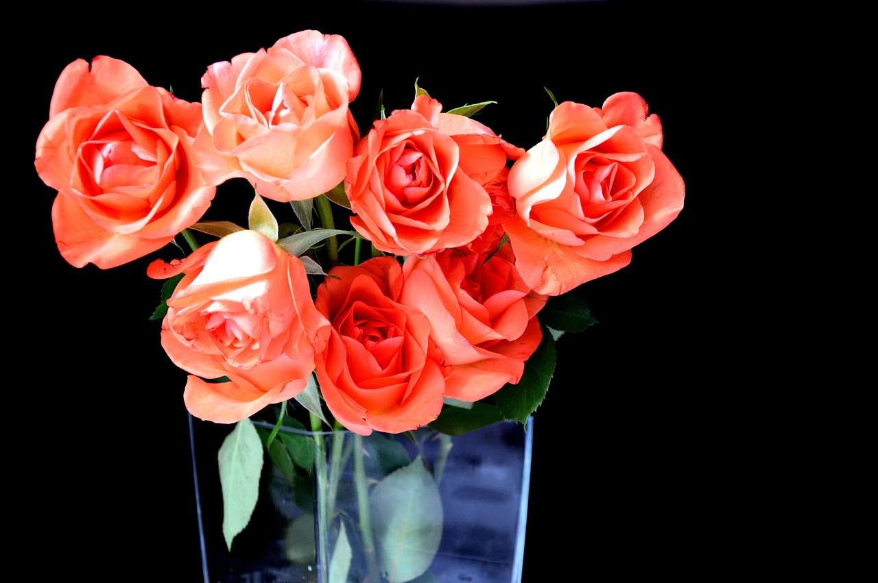 a vase filled with orange roses sitting on a table, by Tom Carapic, pexels, romanticism, bright on black, pink rosa, transparent glass vase, shiny skin”