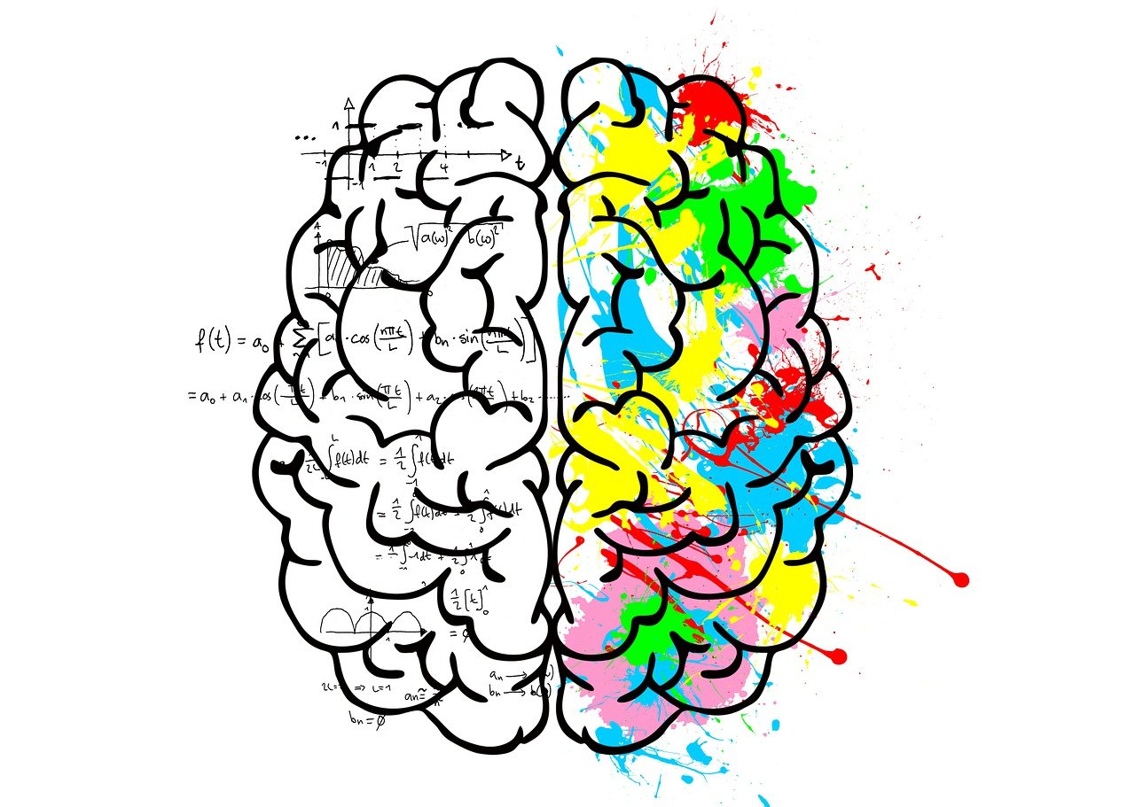 a drawing of a brain with colorful paint splatters, analytical art, two, design on a white background, equations, very symmetrical
