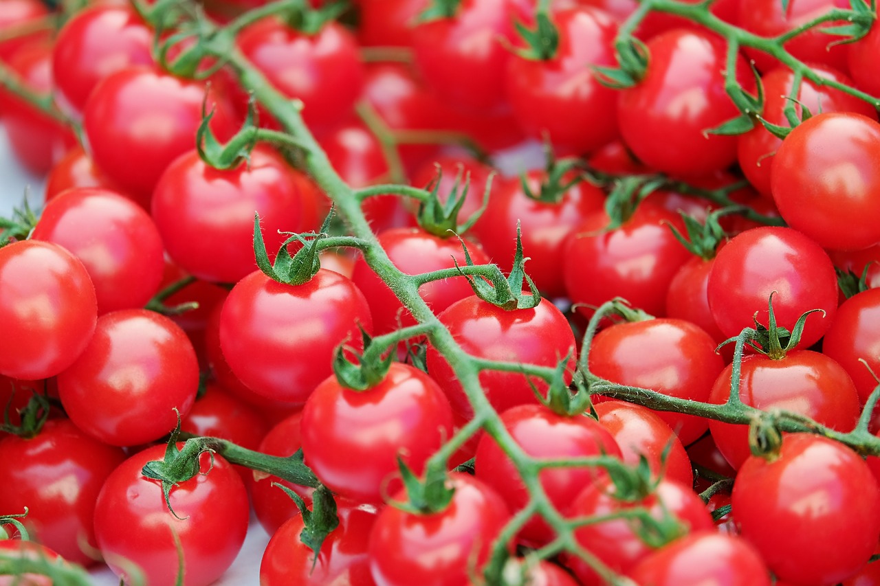 a pile of red tomatoes sitting on top of a table, a picture, by György Rózsahegyi, istockphoto, tomatoes hanging on branches, avatar image, very crisp details