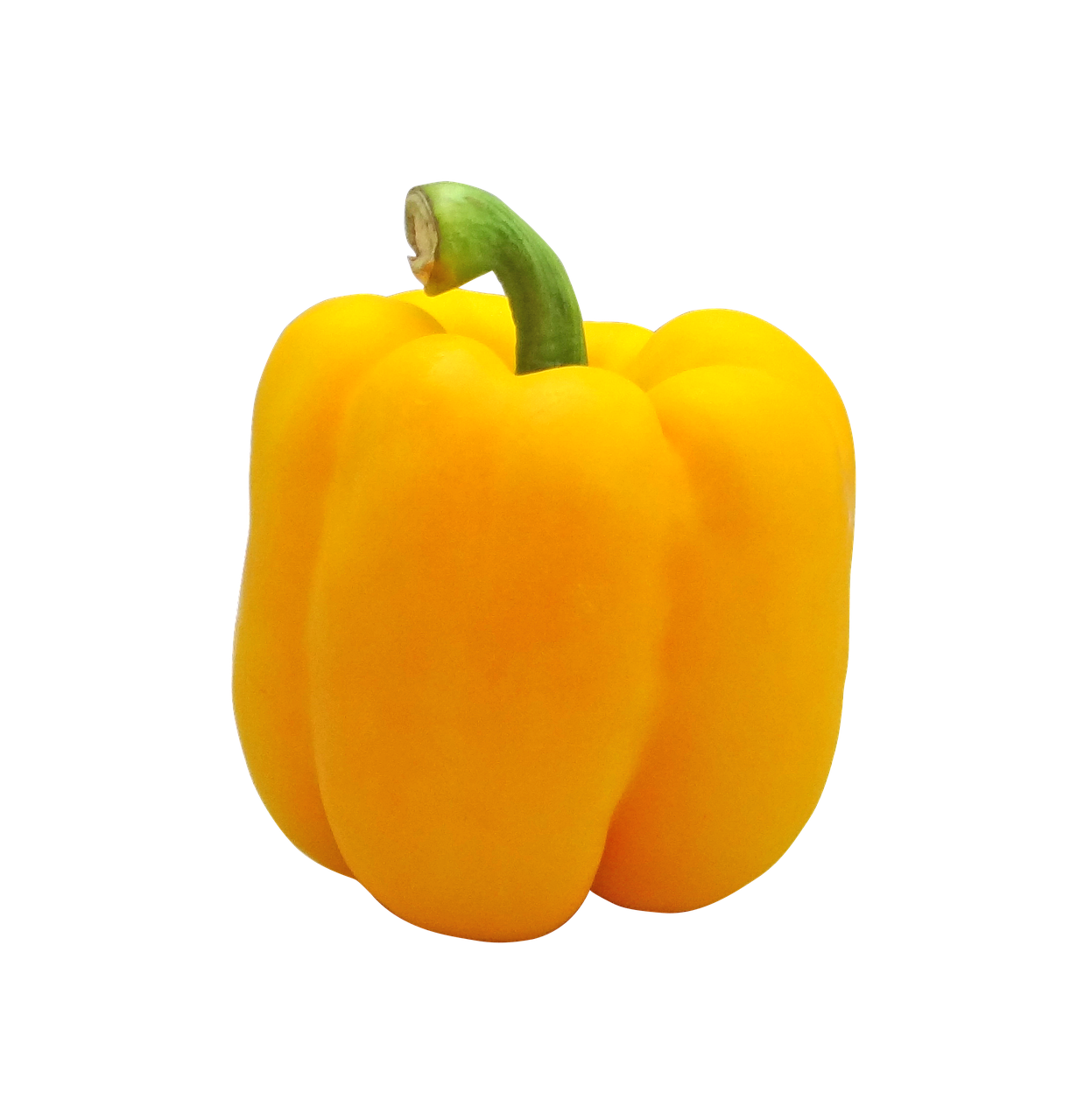 a yellow bell pepper on a black background, renaissance, full color, the background is white, shot from professional camera, rectangular