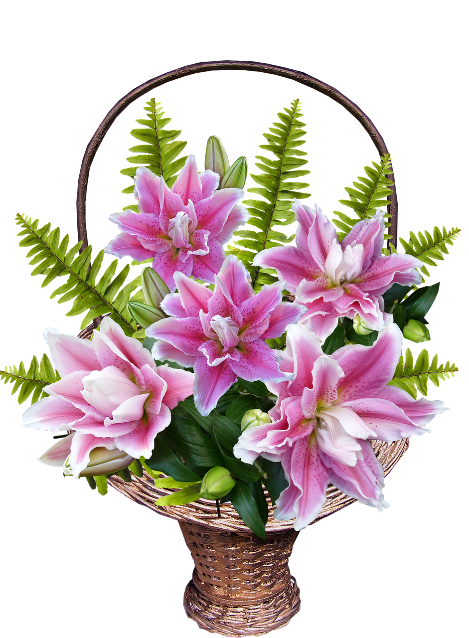 a basket filled with lots of pink flowers, a digital rendering, big lilies, on black background, 💣 💥💣 💥, hou china