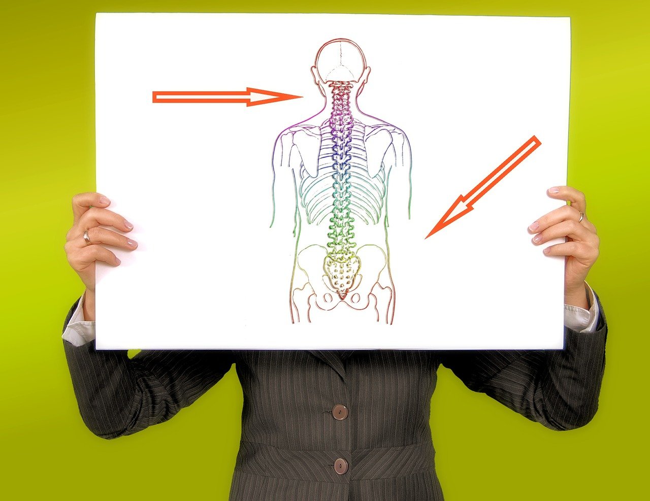 a person holding up a drawing of a human body, a diagram, by Alison Watt, pixabay, spinal column, white human spine, advert, healthcare