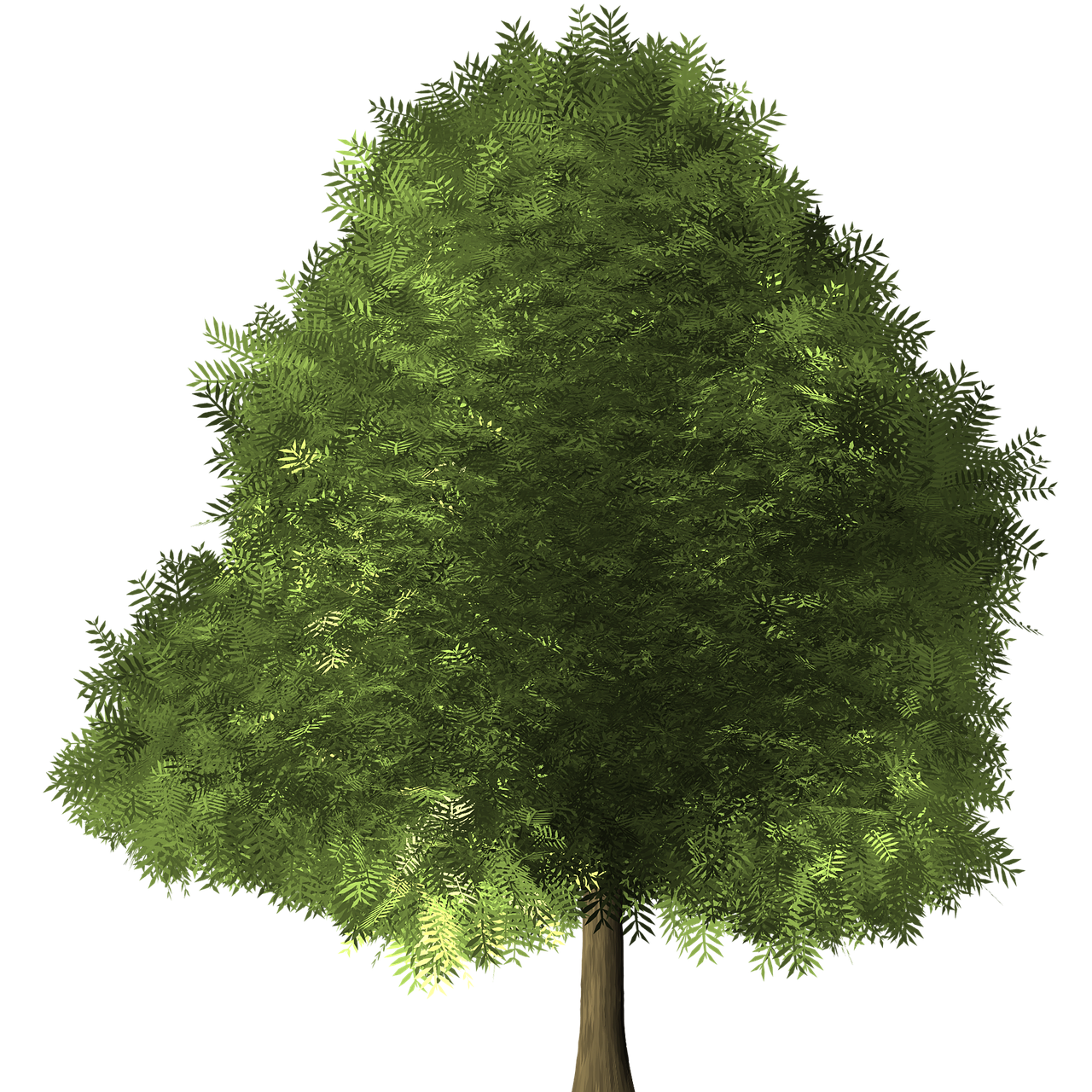 a green tree on a black background, a raytraced image, by David Inshaw, digital art, soft natural volumetric lighting, detailed screenshot, the photo shows a large, realistically shaded