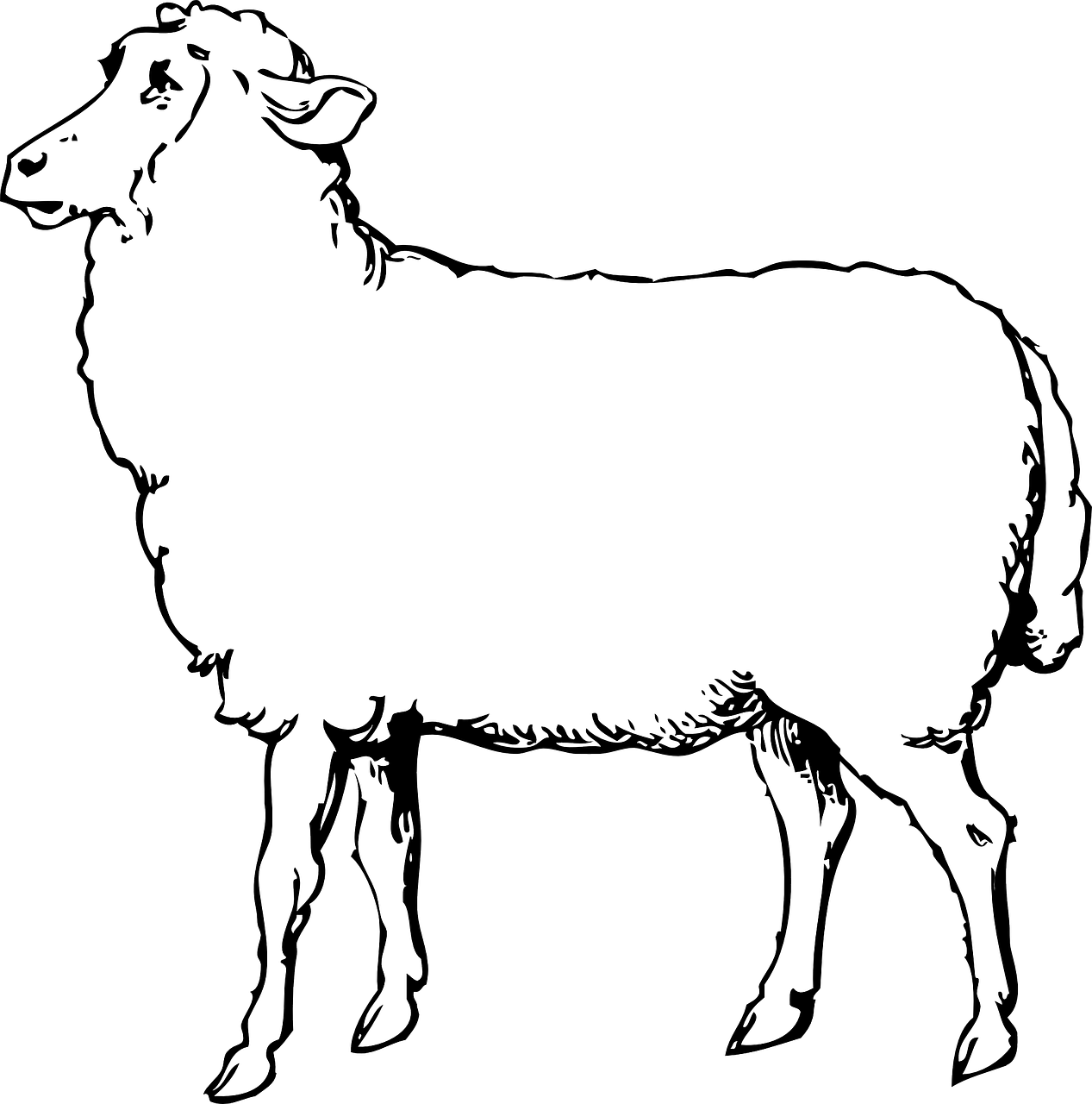 a black and white drawing of a sheep, lineart, by Joseph Henderson, pixabay, standing with a black background, no - text no - logo, plan, romanian