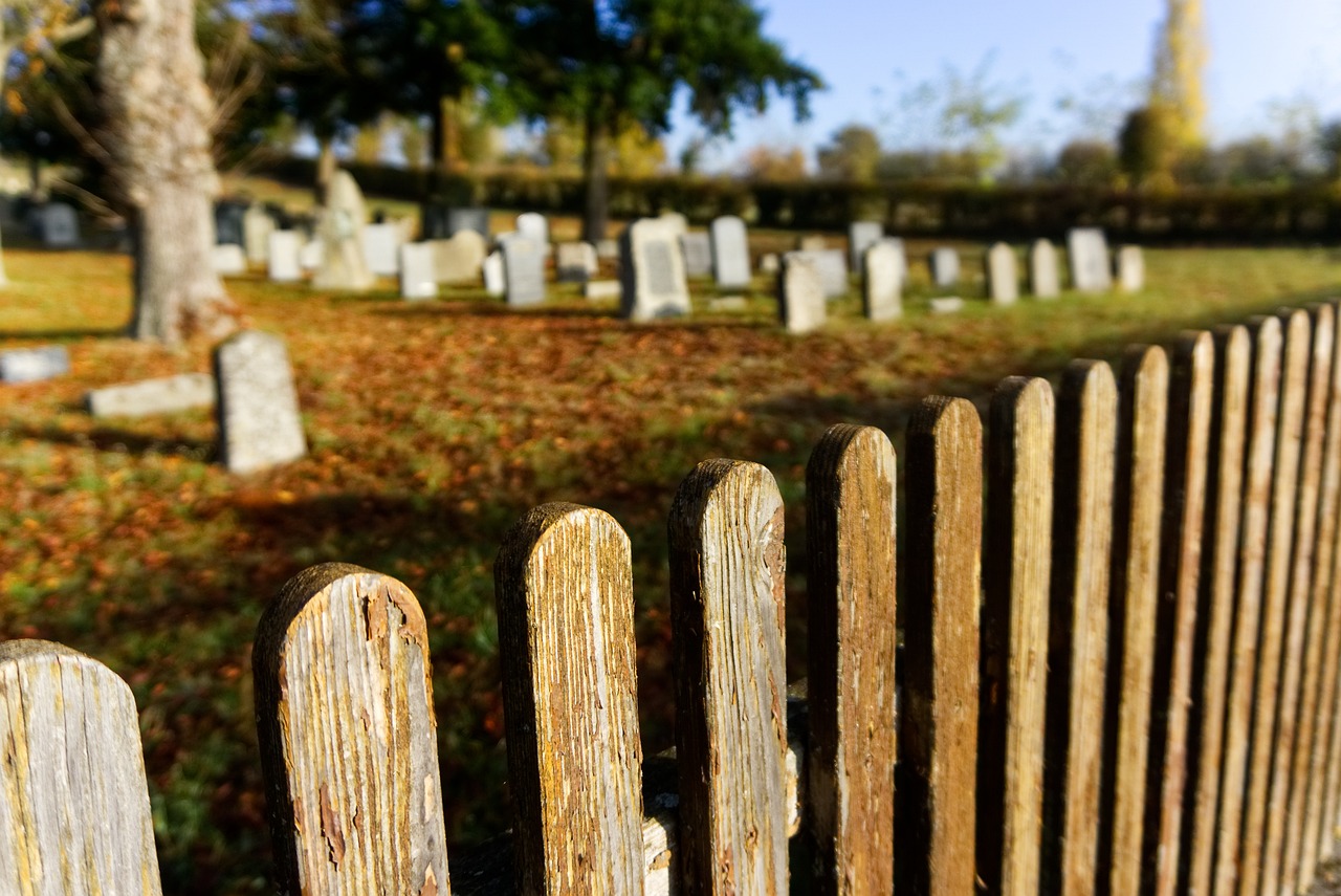 a close up of a wooden fence in a cemetery, a tilt shift photo, flickr, iphone photo, the graveyard!!, late autumn, broken composition