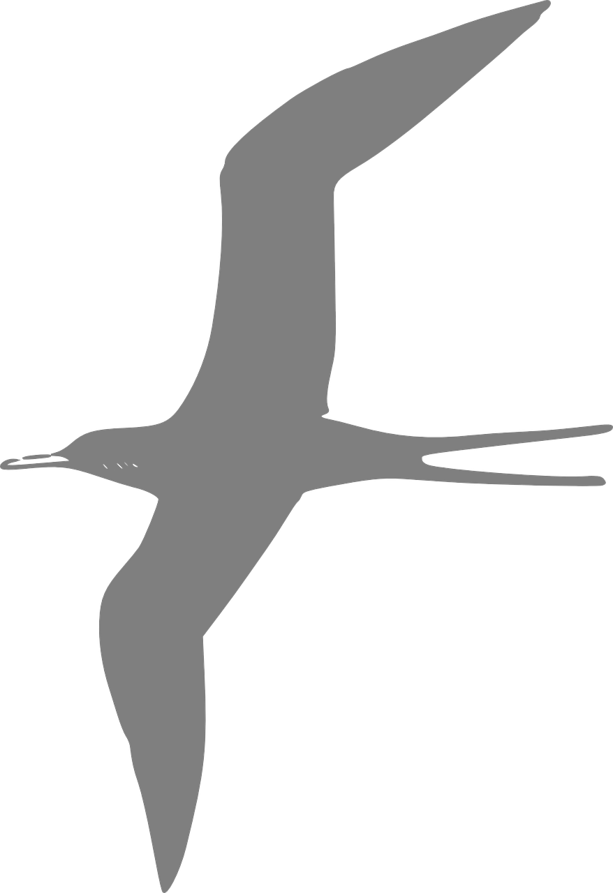 a bird that is flying in the air, a raytraced image, inspired by Sugimura Jihei, sōsaku hanga, scp-049, solid gray, mspaint, very long neck