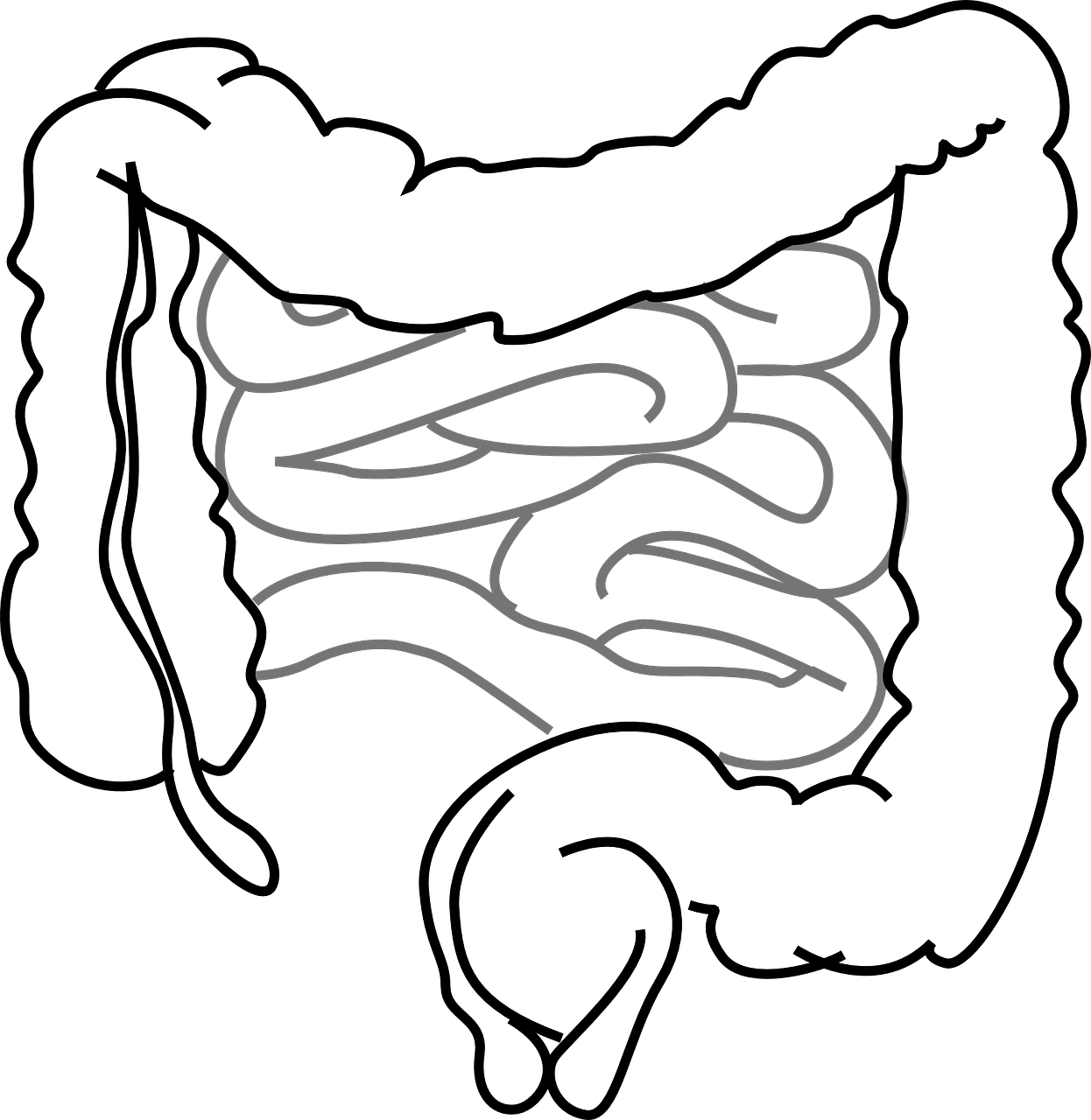 a black and white drawing of a snake, inspired by Lorentz Frölich, reddit, generative art, sketch of an ocean in ms paint, background ( dark _ smoke ), spaghetti, low quality grainy