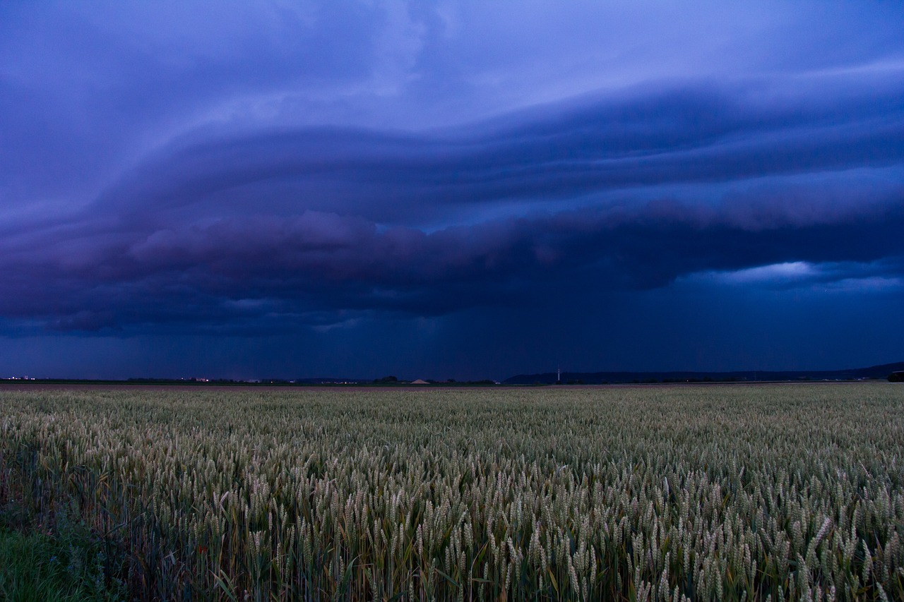 a field of tall grass under a cloudy sky, a picture, by Karl Hagedorn, thunderstorm at night, northern france, purple tornado, 6 0 0 mm