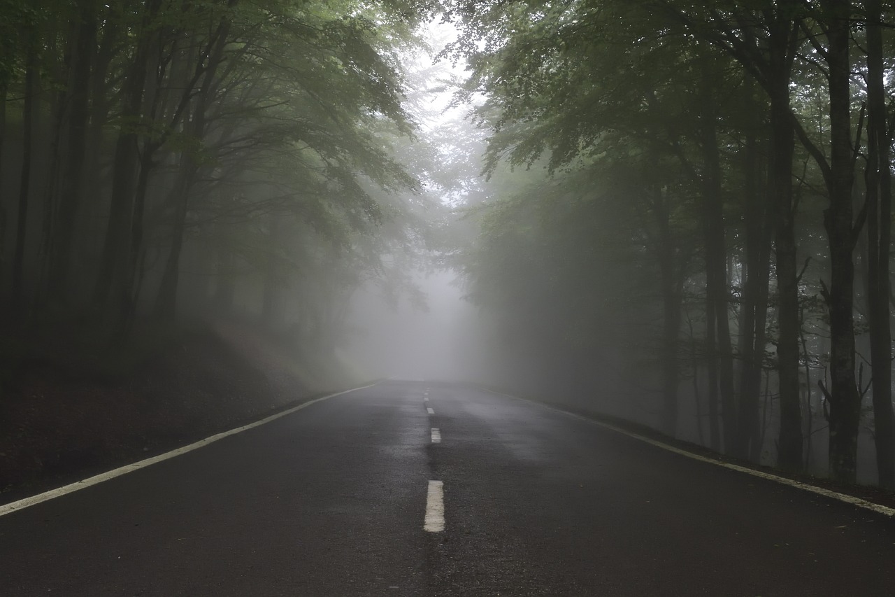 a road in the middle of a forest on a foggy day, romanticism, low angle 8k hd nature photo, highway to hell, benjamin vnuk, mist rising from head