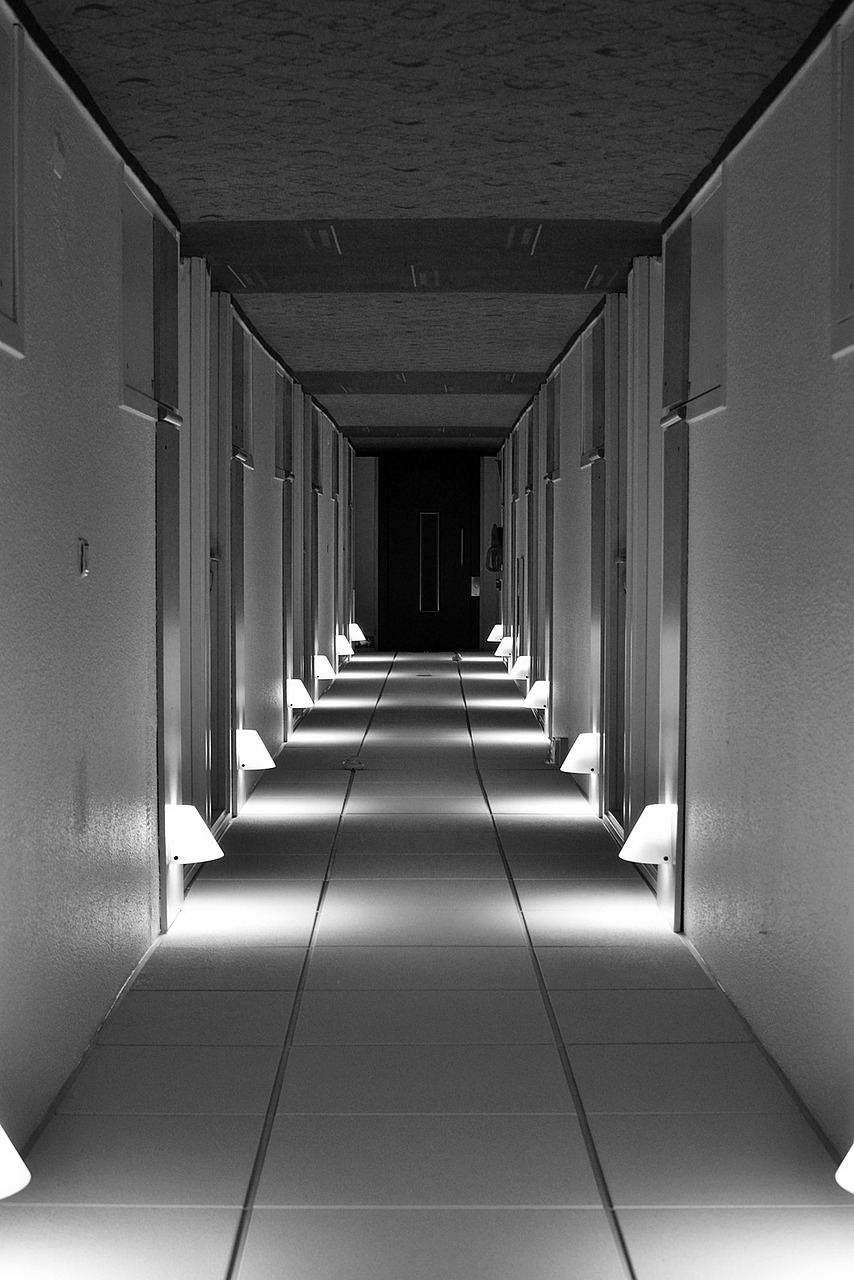 a black and white photo of a long hallway, inspired by Ryoji Ikeda, flickr, alex andreev, datacentre, photo taken at night, wikimedia commons