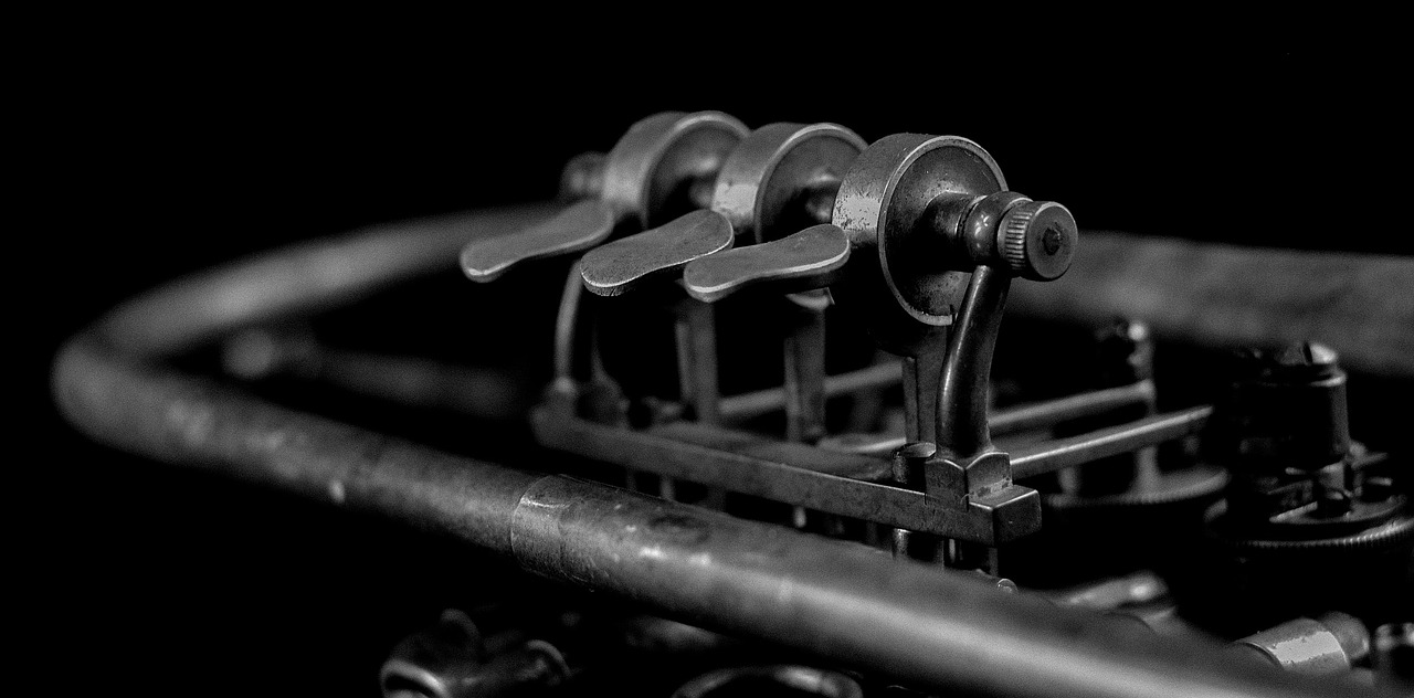 a black and white photo of a trumpet, a macro photograph, by Sven Erixson, flickr, with pipes attached to it, levers, bronze biomechanical, closeup photo