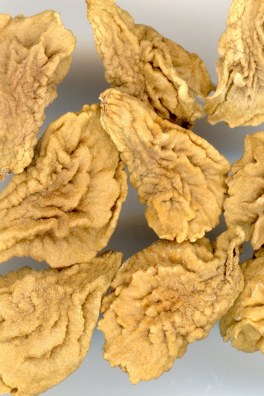 a pile of fried food sitting on top of a table, a macro photograph, by William Berra, flickr, art nouveau, walnuts, palladium veins, golden organic structures, sichuan