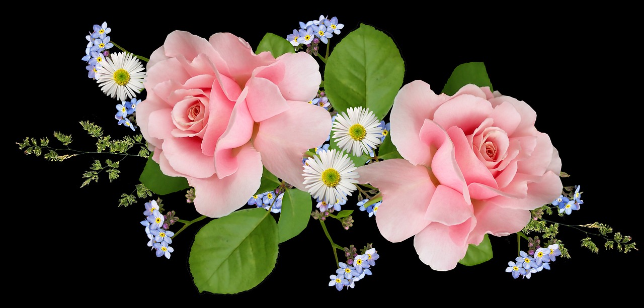 a bouquet of pink roses and daisies on a black background, a digital rendering, by George Barret, Jr., website banner, blue flowers accents, garden flowers pattern, rose twining
