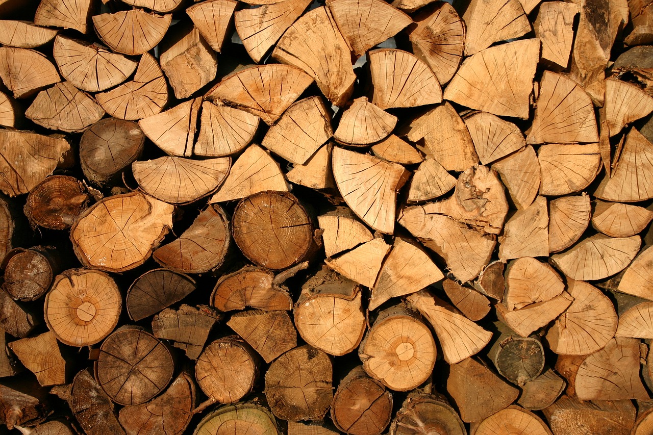 a pile of wood sitting next to each other, a screenshot, by Sigmund Freudenberger, shutterstock, figuration libre, !!natural beauty!!, wallpaper!, wisconsin, shade