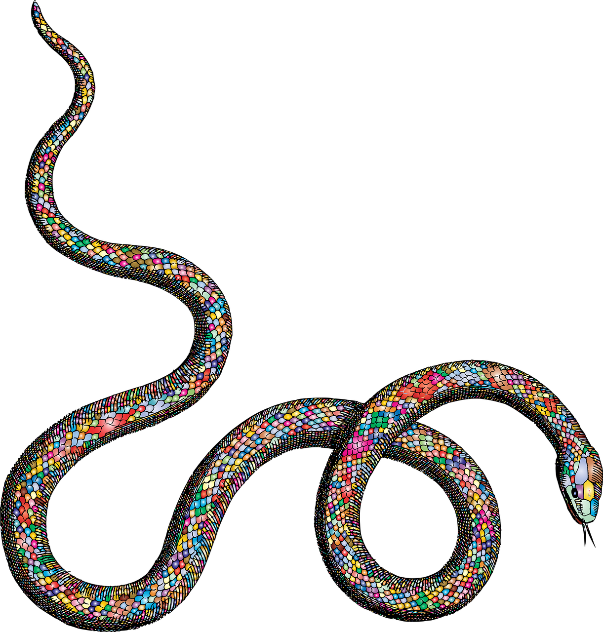 a close up of a snake on a black background, an illustration of, pointillism, made of multicolored crystals, illustration, simple path traced, mesh