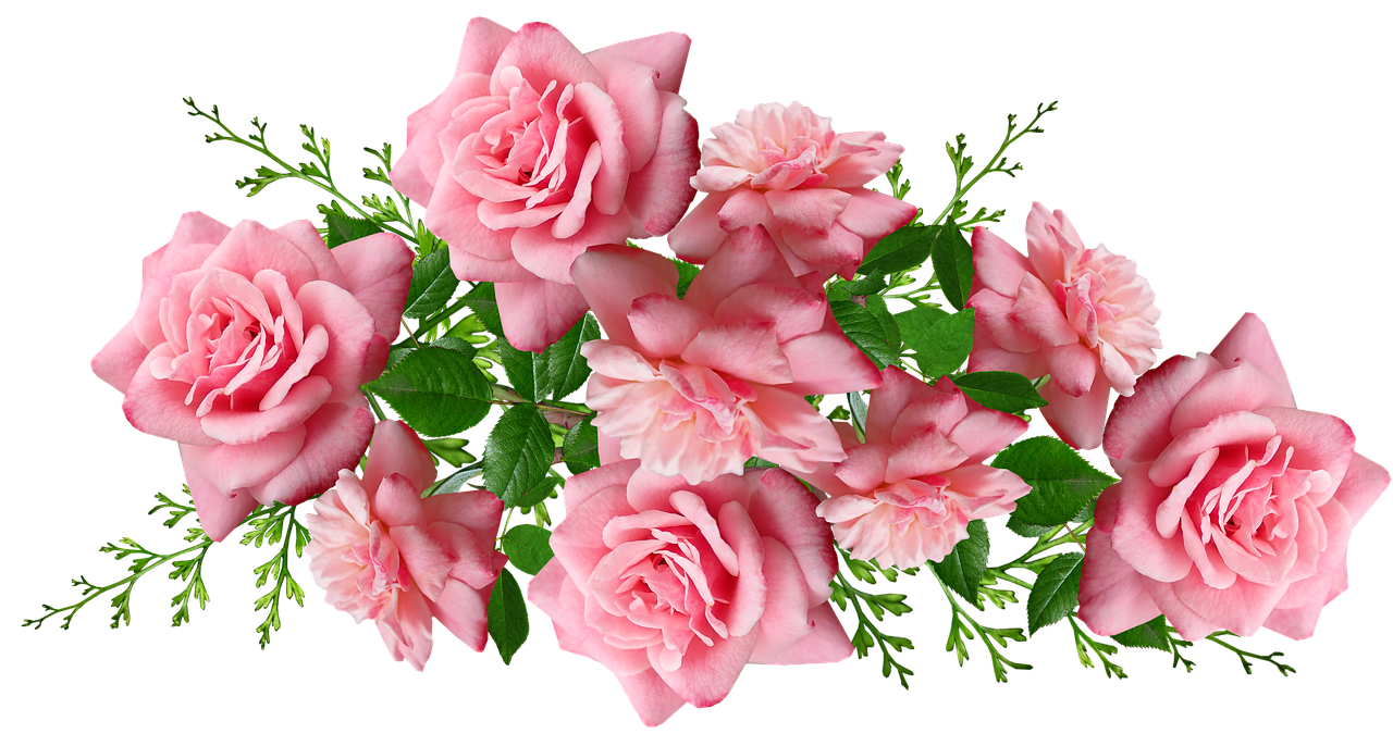 a bouquet of pink roses on a black background, a digital rendering, inspired by Jan Henryk Rosen, 1128x191 resolution, 1 6 x 1 6, link, wide screenshot