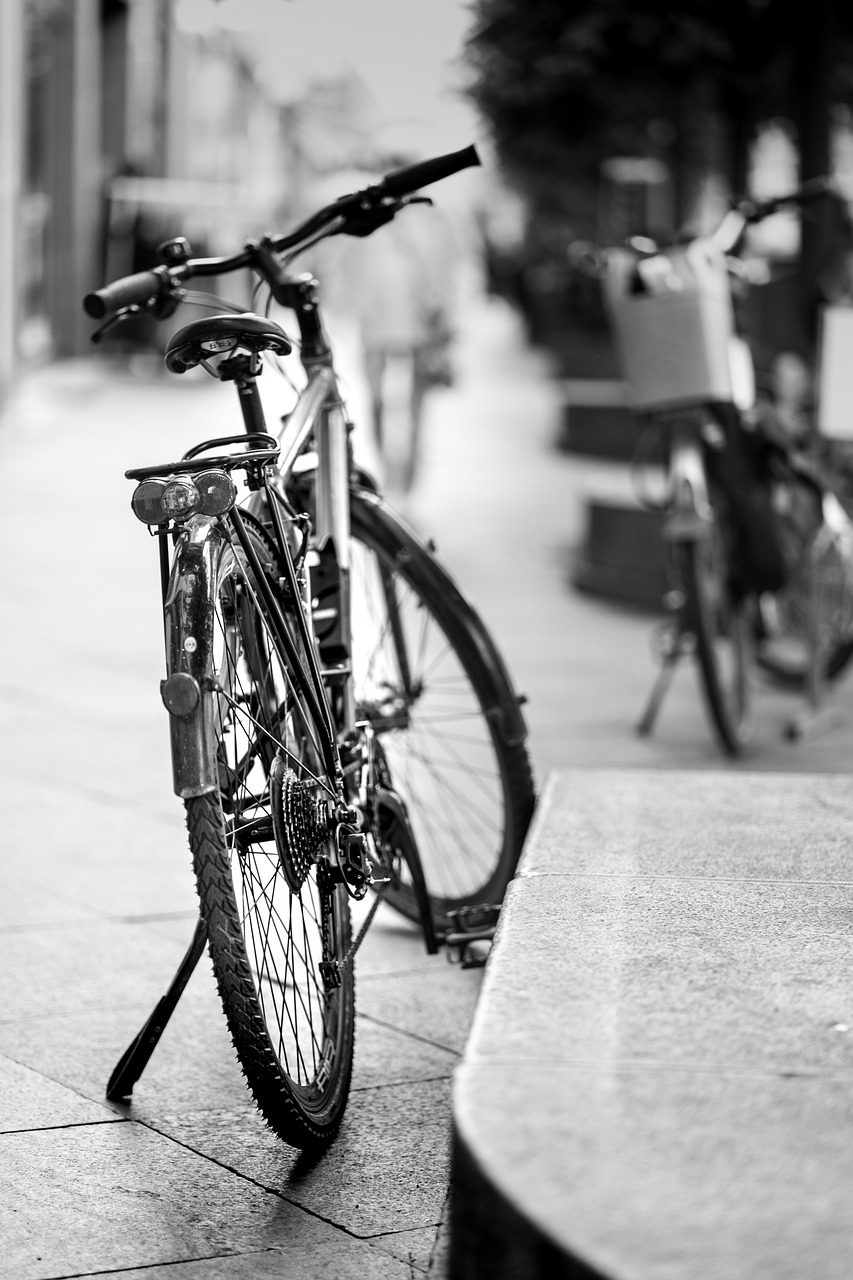 a black and white photo of a bicycle parked on a sidewalk, a portrait, 8k 50mm iso 10, dof and bokeh, high details photo, fuji x 1 0 0 f