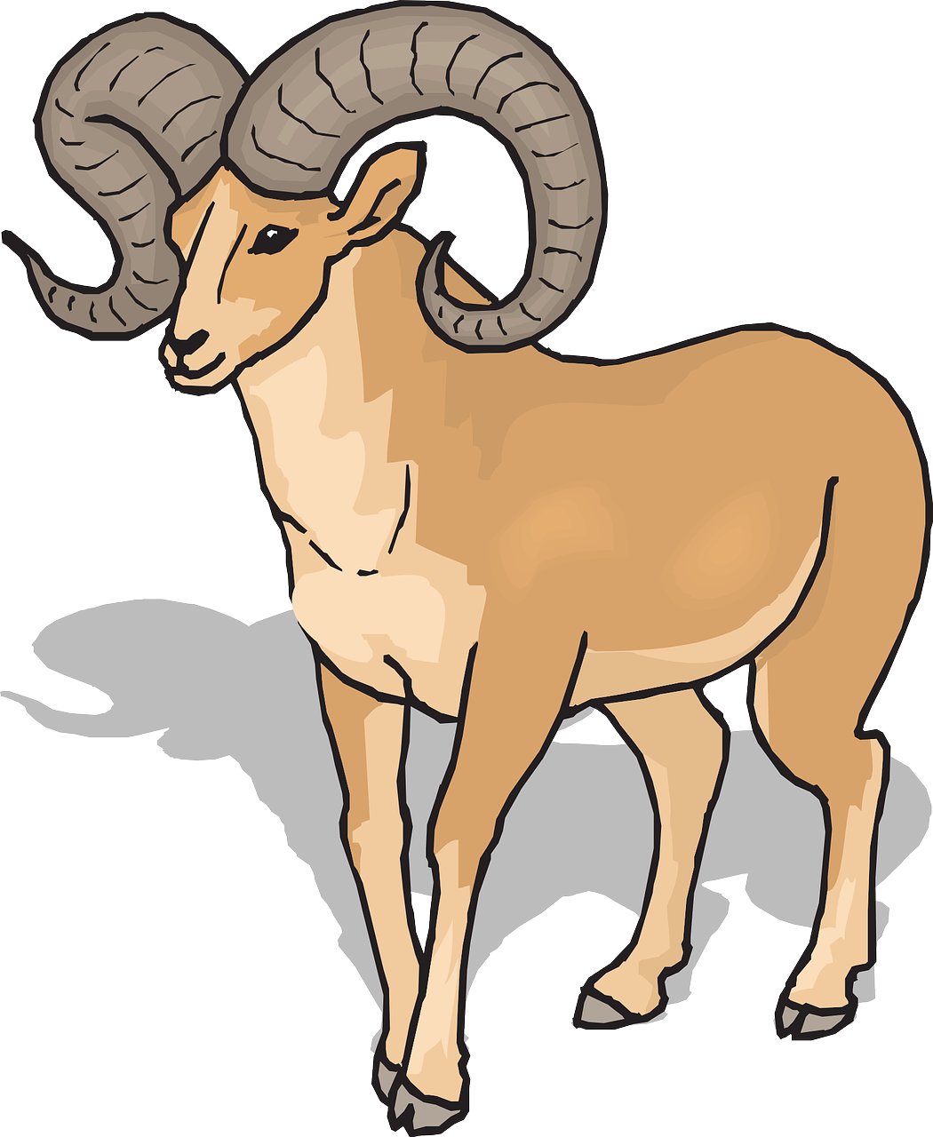 a ram standing in front of a white background, an illustration of, sots art, clip art, sahara, high angle, full color drawing