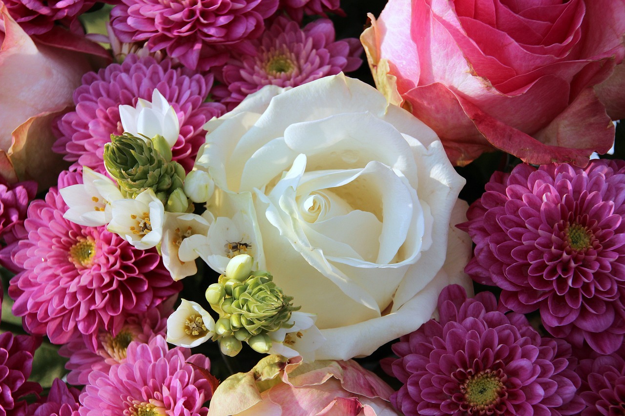 a close up of a bunch of flowers, a picture, romanticism, detailed zoom photo, 3 4 5 3 1, white and pink, bouquet