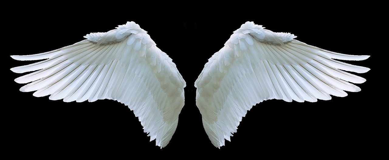 a pair of white wings on a black background, a photo, pixabay, 144p, heaven on earth, wide angel shot from below, istock