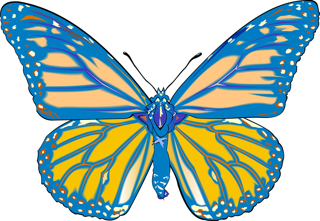 a blue and yellow butterfly on a black background, an illustration of, flickr, ms paint drawing, centered full body rear-shot, colored accurately, quirky king of faes ( with long