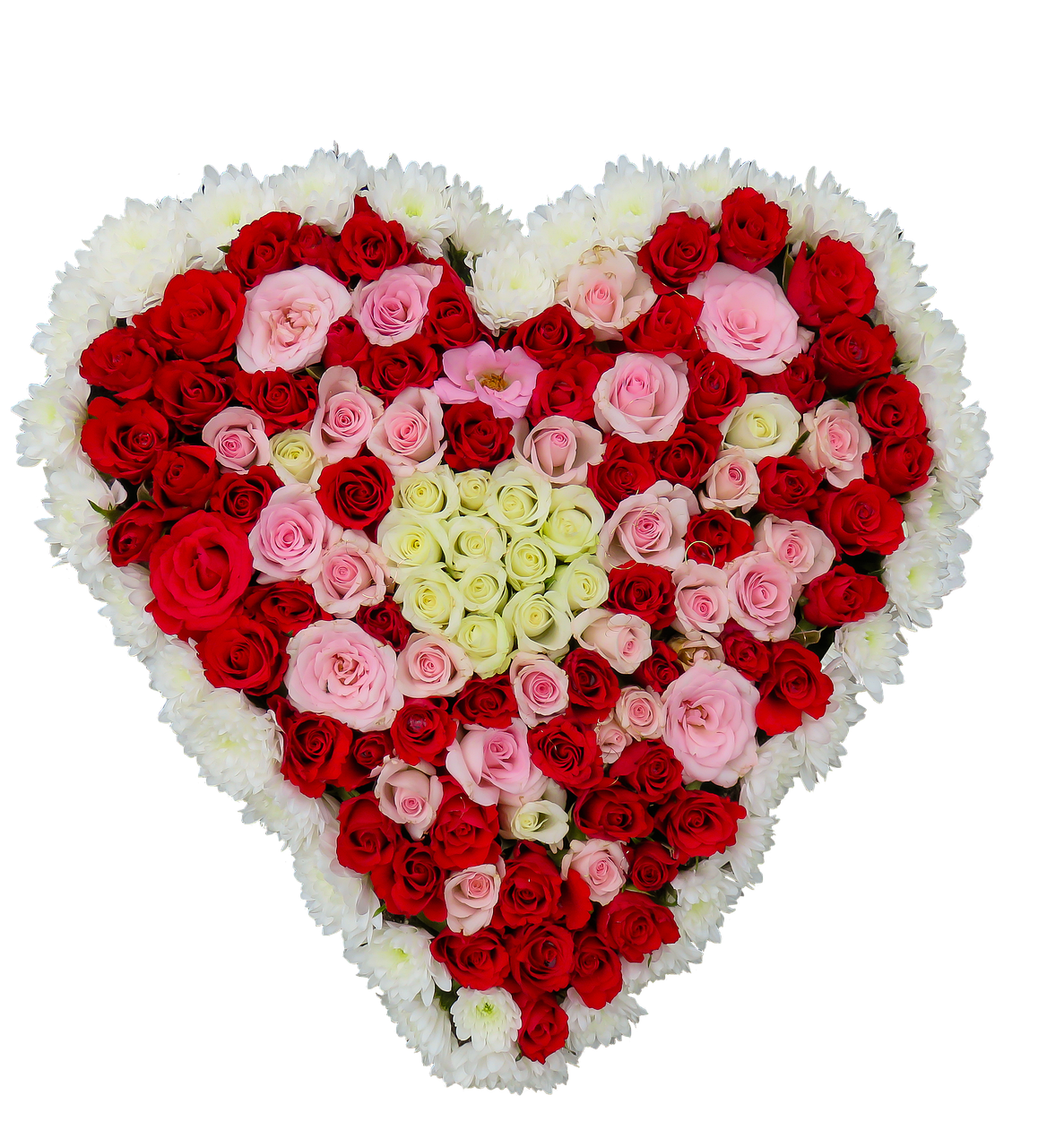 a heart shaped arrangement of roses on a black background, a mosaic, hurufiyya, full body view, - h 1 0 2 4, hundreds of them, full product shot