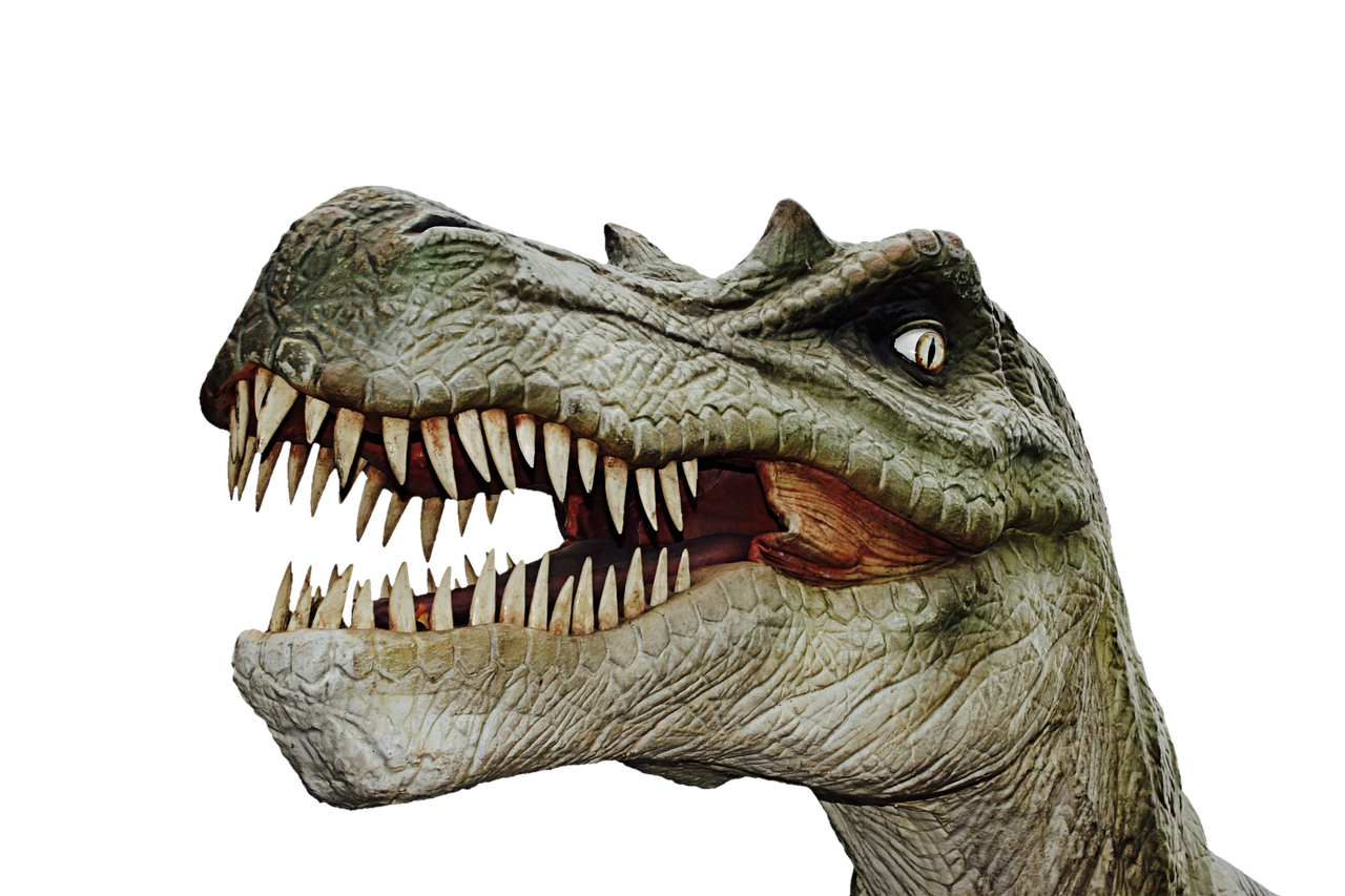 a close up of a dinosaur with its mouth open, inspired by Adam Rex, photorealism, on black background, museum quality photo, raptors, very very well detailed image