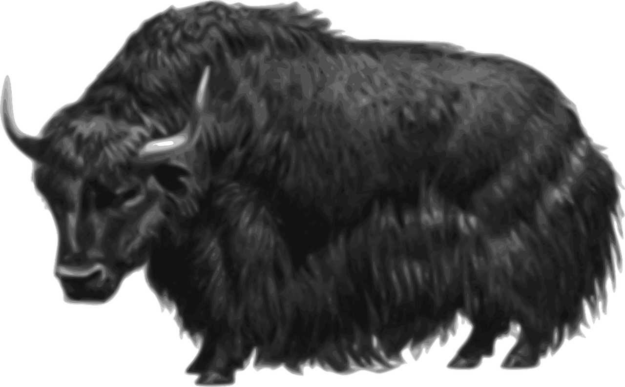 a black and white photo of a yak, a digital rendering, inspired by Giuseppe Bernardino Bison, reddit, sōsaku hanga, rustic yet enormous scp (secure, hd fur, silver, group photo