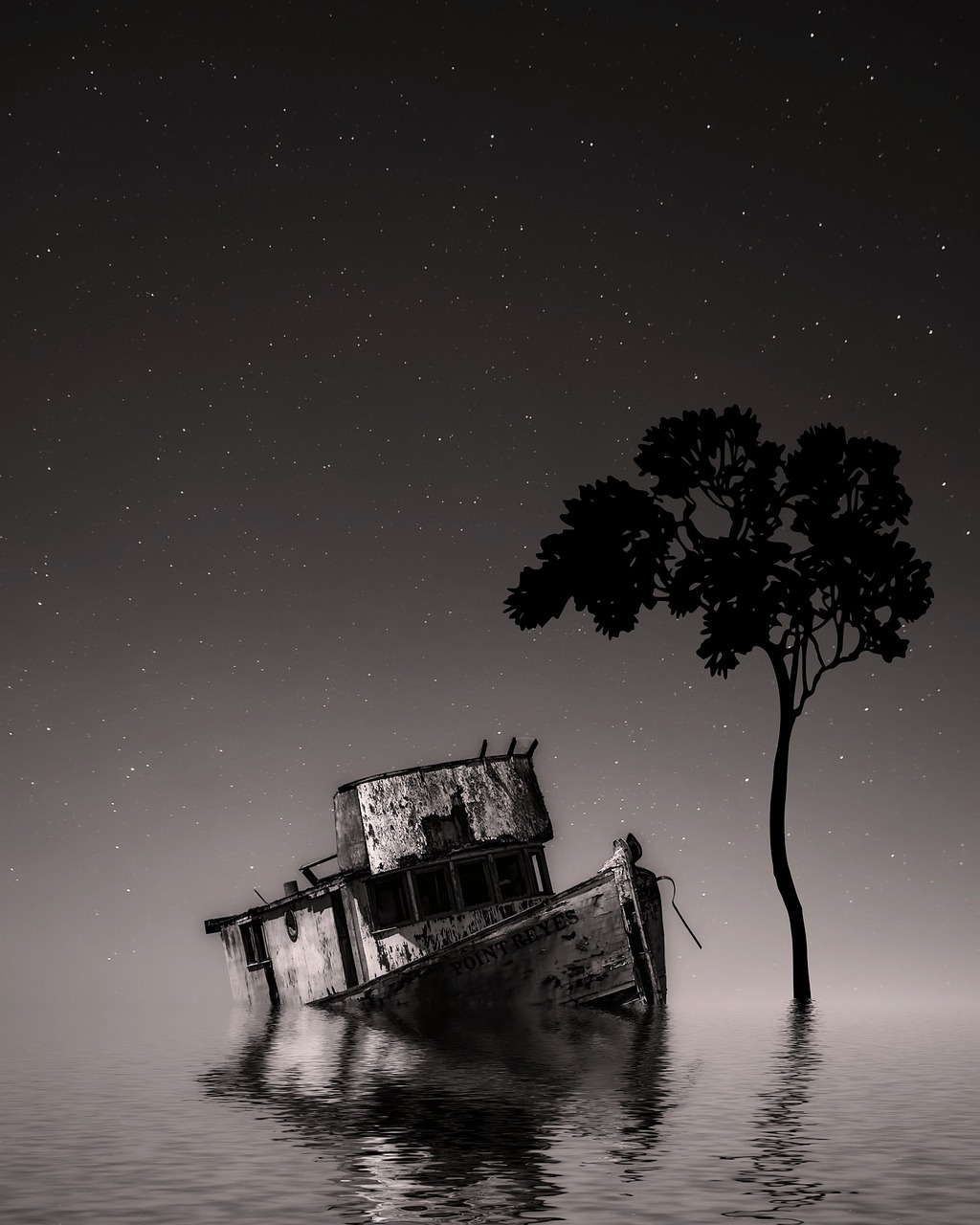 a boat floating on top of a body of water under a tree, a black and white photo, by Chris Friel, unsplash contest winner, sky strewn with stars, portrait of a sunken ship, david kassan, istock