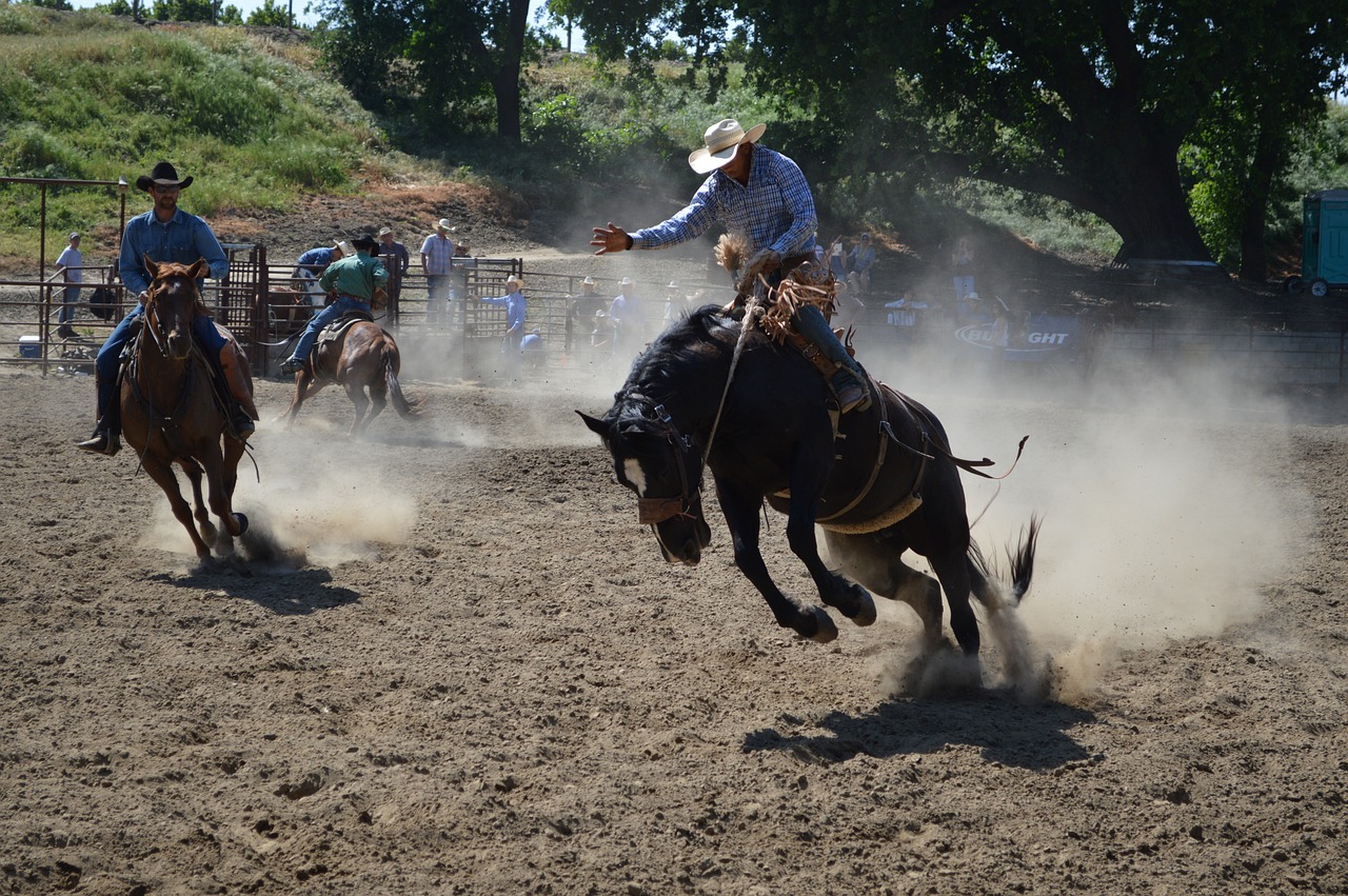 a couple of men riding on the backs of horses, by Linda Sutton, shutterstock, battle action shot, central california, wipe out, usa-sep 20