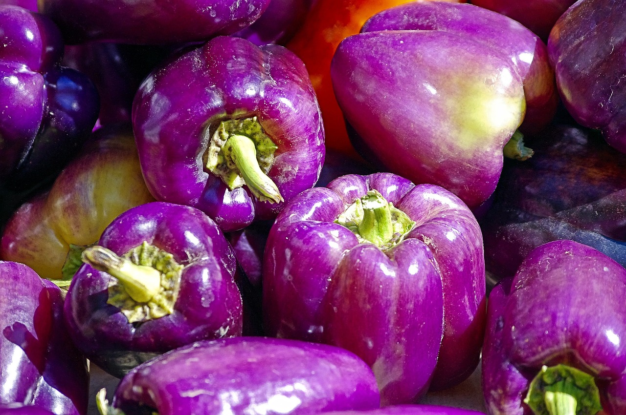 a pile of purple peppers sitting on top of each other, a portrait, pixabay, shenzhen, a brightly coloured, deep colour\'s, university