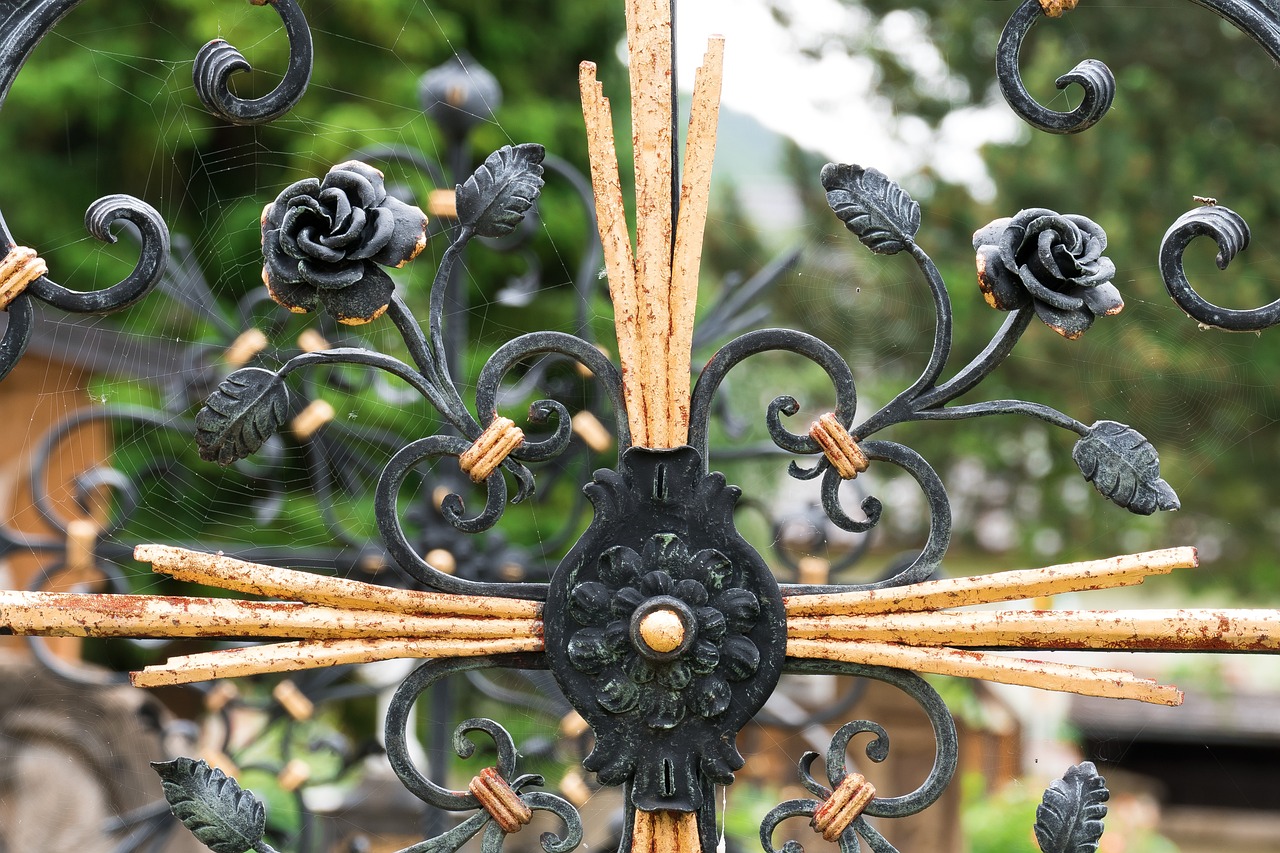 a close up of a wrought iron gate, by Alexander Fedosav, flickr, crosses, made of wax and metal, rosette, with black vines