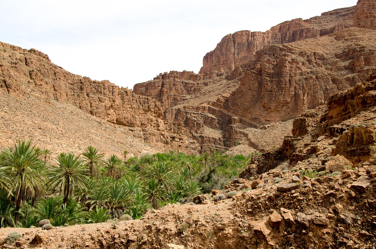 a view of a canyon with palm trees in the foreground, flickr, les nabis, arid mountains and palm forest, beutiful!, boe jiden, well edited