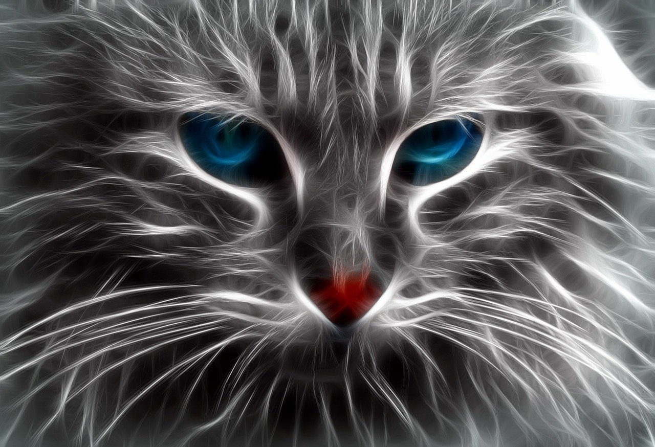 a close up of a cat with blue eyes, an airbrush painting, flickr, furry art, electric wallpaper, with glowing red eyes, silver and blue colors, beautiful iphone wallpaper