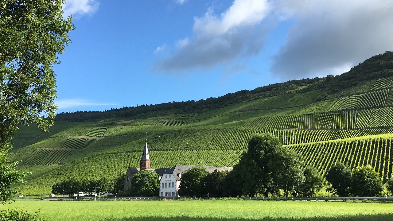 a church sitting on top of a lush green hillside, a photo, by Tom Wänerstrand, vines everywhere, pur champagne damery, ham, karl heilmayer