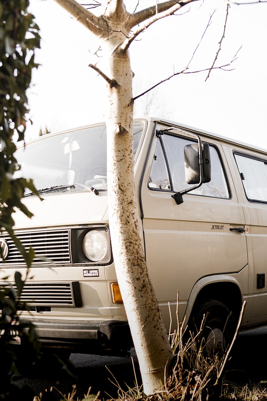 a van parked next to a tree on the side of the road, a picture, by Justus van Gent, unsplash, renaissance, 80s nostalgia, head and shoulder shot, warm spring, indoor shot